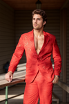 Vibe tuxedo suit