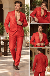 Vibe tuxedo suit