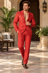 Vibe tuxedo suit
